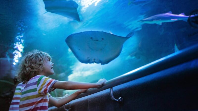 Antalya: Aquarium and Wax Museum Entry Ticket - Explore Antalya’s Aquarium and Wax Museum with a Single Ticket for a Memorable Day