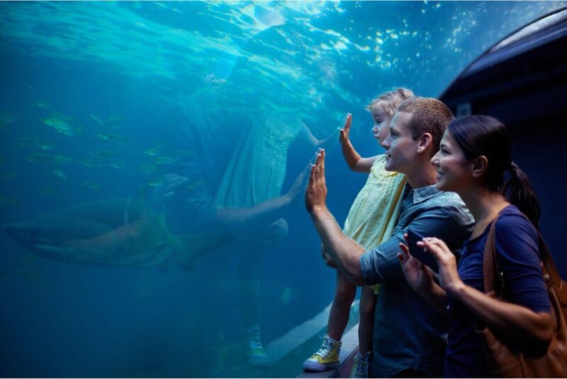 Antalya: Aquarium and Wax Museum Entry Ticket - Discover the Face 2 Face Wax Museum’s Celebrity Figures