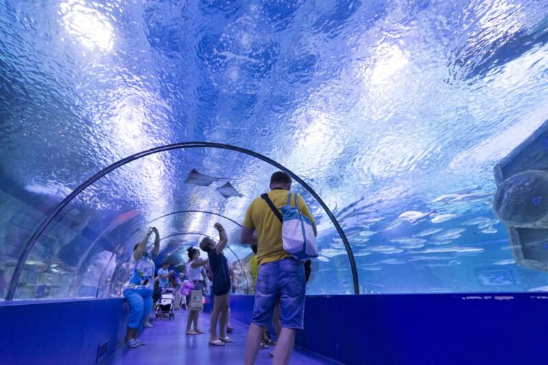 Antalya: Aquarium and Wax Museum Entry Ticket - Perfect for Families and Marine Enthusiasts