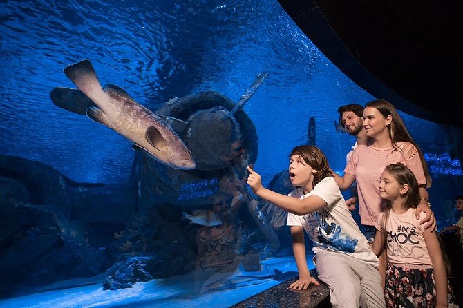 Antalya Aquarium Tour Platinium Tour - Pickup and Meeting Points Start Early for Convenience