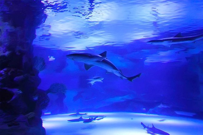 Antalya Aquarium Tour Platinium Tour - Ease of Booking and Cancellation Policy