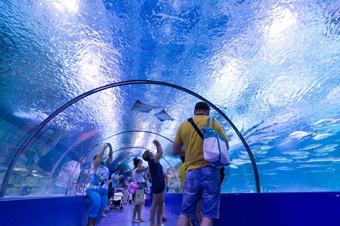 Antalya Aquarium Tour Platinium Tour - Who Would Enjoy This Tour Most
