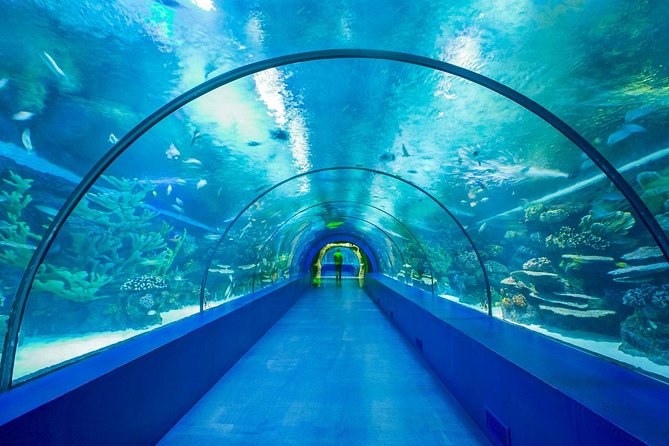 Antalya Aquarium Tour Platinium Tour - Frequently Asked Questions