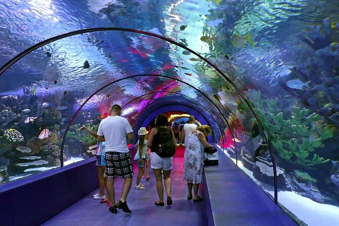 Antalya Aquarium, Wax Museum, Snow World, Wild Park, XD Cinema - Antalya Aquarium: The Heart of the Tour