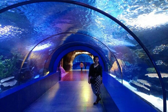 Antalya Aquarium, Wax Museum, Snow World, Wild Park, XD Cinema - Wild Park Antalya: Tropical Animal Encounters