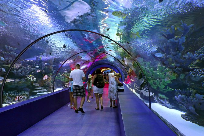 Antalya: Aquarium, Wax Museum, Snow World, Wild Park, XD Cinema - Visit the Antalya Aquarium and Explore the Underwater World
