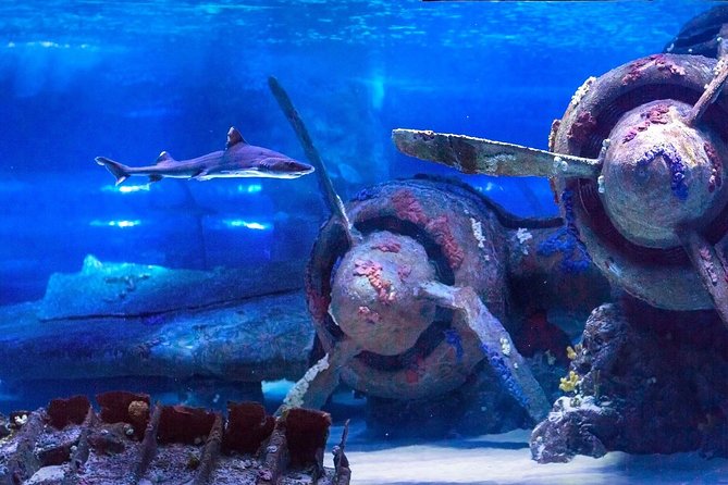 Antalya: Aquarium, Wax Museum, Snow World, Wild Park, XD Cinema - Wild Park: Reptiles, Insects, and Educational Shows