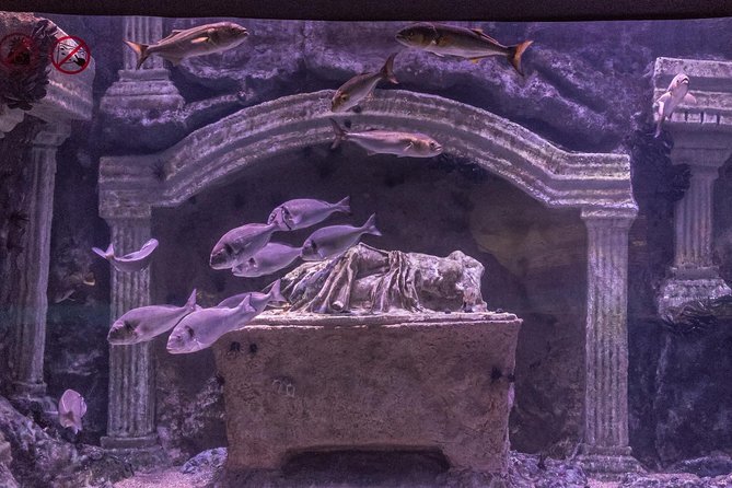 Antalya: Aquarium, Wax Museum, Snow World, Wild Park, XD Cinema - Expert Tips for Visiting Antalyas Family Attractions