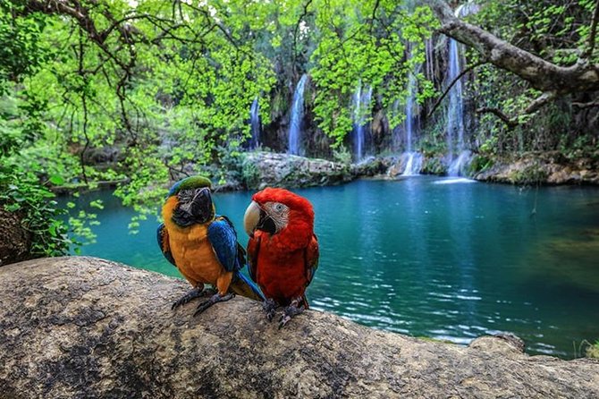 Antalya Deluxe City Tour Lunch + Cable Car from Side - Visiting Kursunlu Waterfalls for Natural Beauty