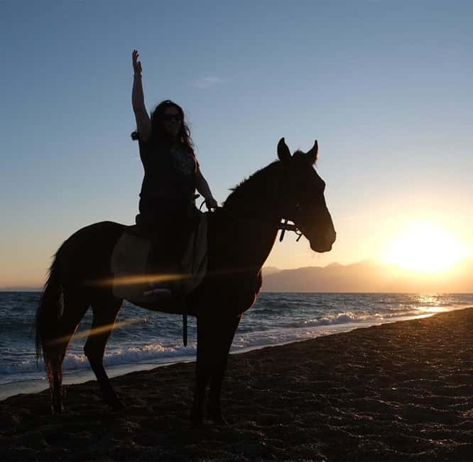 Antalya: Gallop Horseback Riding Private Tour - The Route: Forests, Deserts, and Riverside Passages