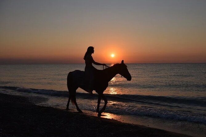 Antalya Horse Riding On Beach And Through The Forests For 2 Hours - Adventure on Horseback at Lara Beach for $60