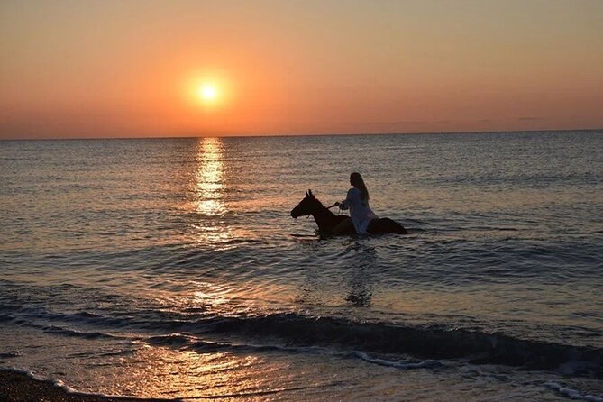 Antalya Horse Riding On Beach And Through The Forests For 2 Hours - Key Points