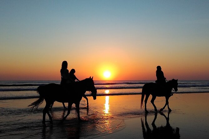 Antalya Horse Riding On Beach And Through The Forests For 2 Hours - The Not-So-Golden Reviews: Safety Concerns and Customer Experiences