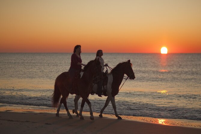 Antalya Horse Riding On Beach And Through The Forests For 2 Hours - Comparing with Similar Tours