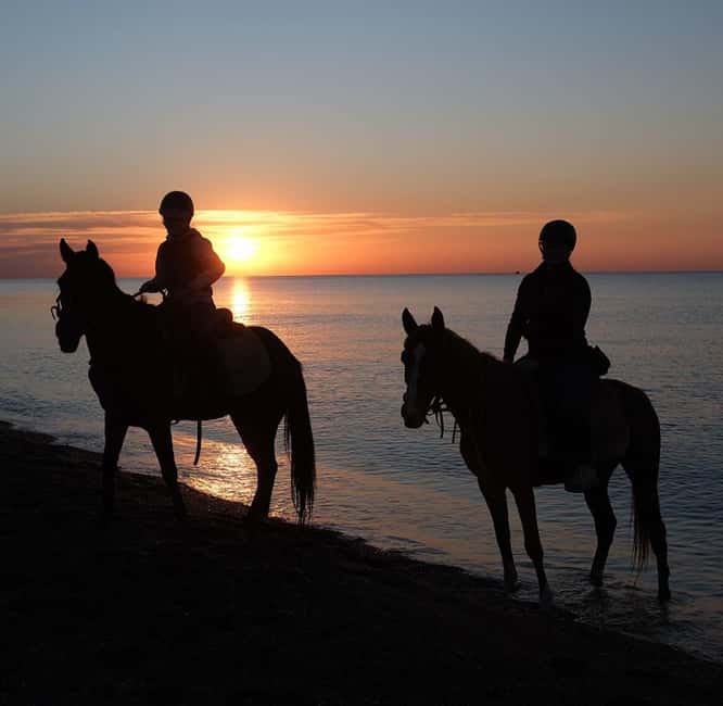Antalya: Horse Riding on Sea and in the Forest - Practical Details and Logistics