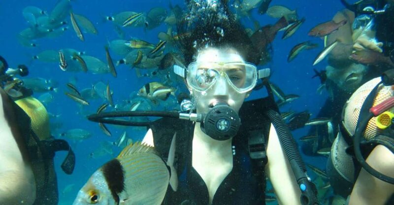 Antalya/Kemer: Scuba Diving Experience with Lunch & Pick up - Exploring Aquarium Bay and Kiris Bay