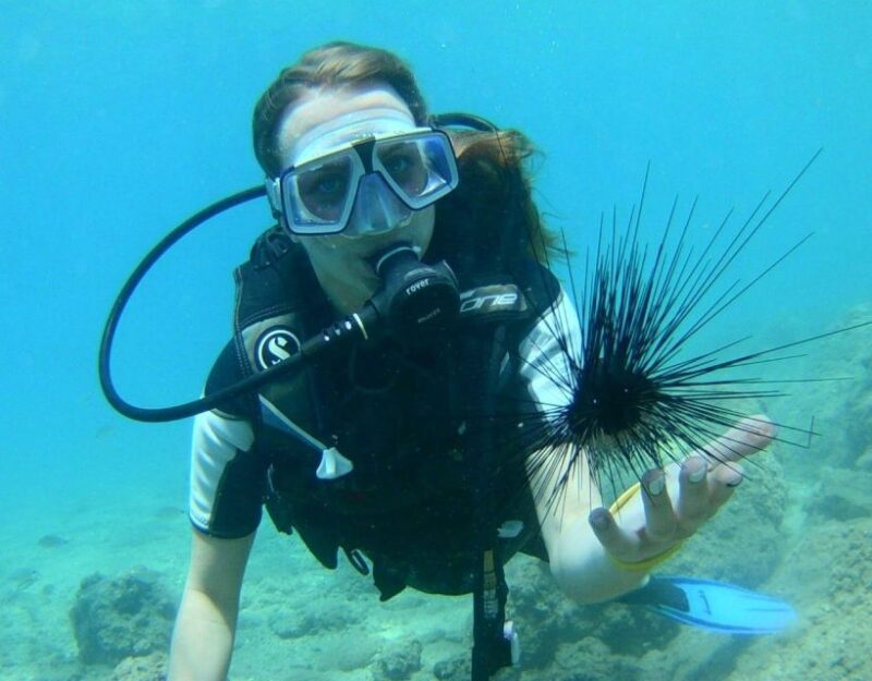 Antalya/Kemer: Scuba Diving with Pickup, Lunch, and 2 Dives - Overall Value and Experience