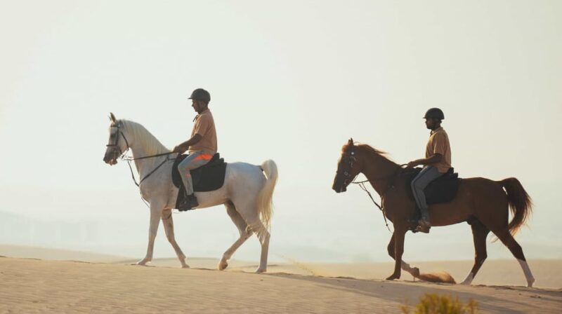 Antalya: Lara Beach & Forrest Horse Riding Safari - The Horses and Guides: Calm, Friendly, and Well-Cared For