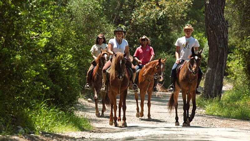 Antalya: Lara Beach & Forrest Horse Riding Safari - Practical Details: Meeting Points, Group Size, and Safety
