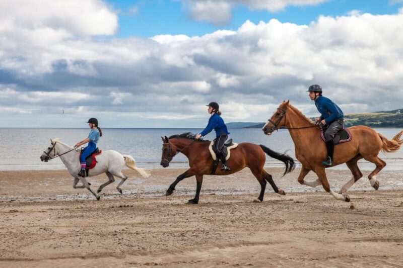 Antalya: Lara Beach & Forrest Horse Riding Safari - Potential Limitations to Consider