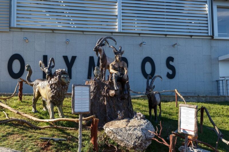 Antalya: Olympos Cable Car & Tahtali Mountains with Transfer - Best Suitability and Considerations