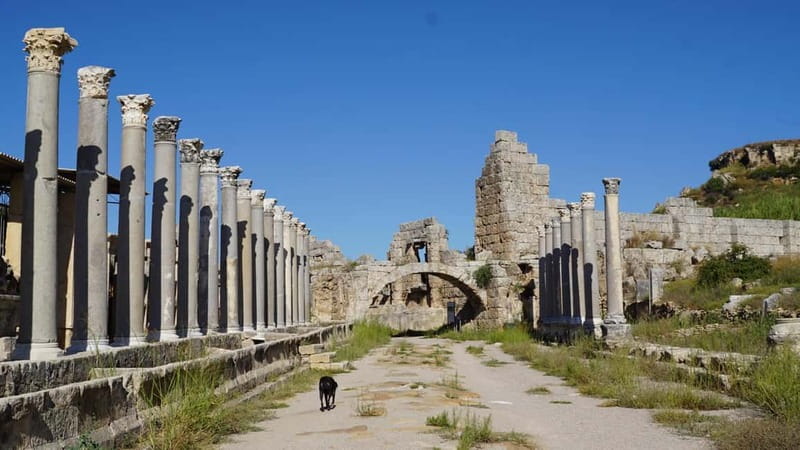 Antalya: Perge Ancient City Tour - Key Points
