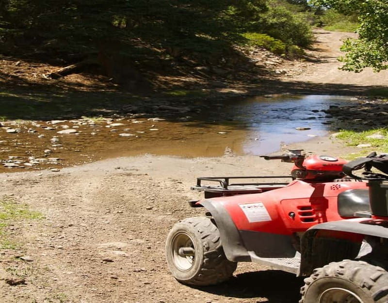 Antalya: Quad-Bike Excursion in Side Forest & Hotel Pick-Up - The Experience at the Starting Point and Return