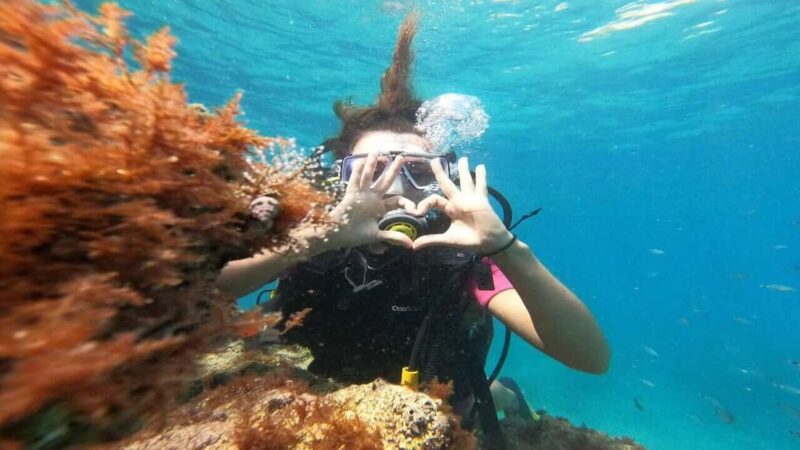 Antalya Scuba Diving Adventure w/Private Expert Diver Option - Exploring Kiris Bay’s Underwater Beauty