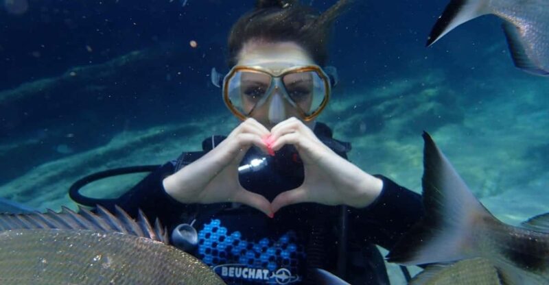 Antalya Scuba Diving Tour, With Lunch & Return Transfers - Key Points