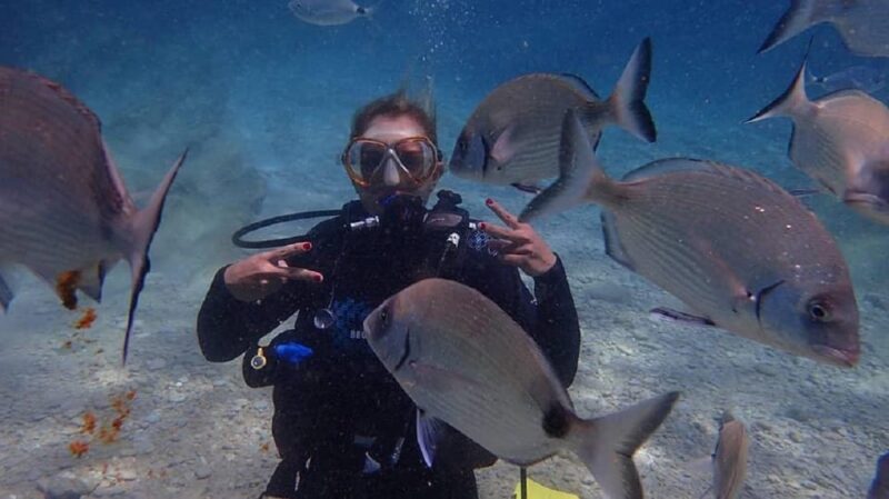Antalya Scuba Diving Tour, With Lunch & Return Transfers - Lunch Break at Marti Island