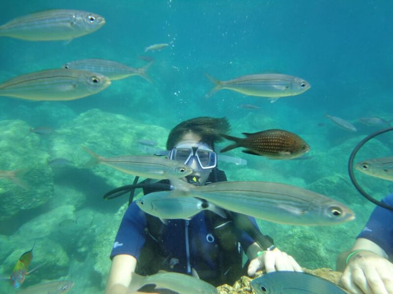 Antalya Scuba Diving Tour, With Lunch & Return Transfers - The Second Dive: Discovering Underwater Wonders