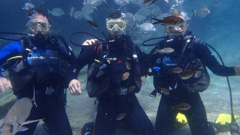 Antalya Scuba Diving Tour, With Lunch & Return Transfers - Certification Ceremony and Return Journey