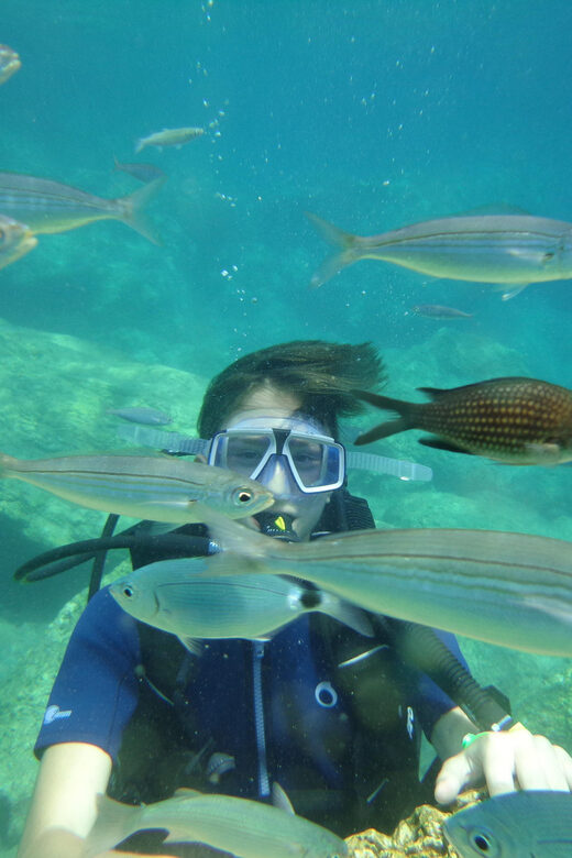 Antalya Scuba Diving Tour, With Lunch & Return Transfers - Physical Requirements and Accessibility Limits