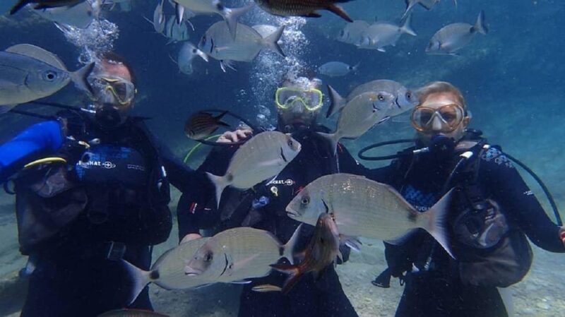 Antalya Scuba Diving Tour, With Lunch & Return Transfers - The Cost and Booking Flexibility