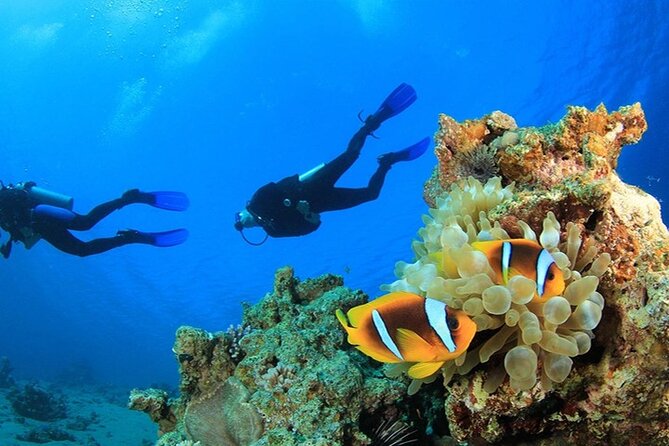 Antalya Scuba Diving With Transfer From Belek,Lara,Kemer Hotels - Starting Your Underwater Adventure in Antalyas Marine Depths