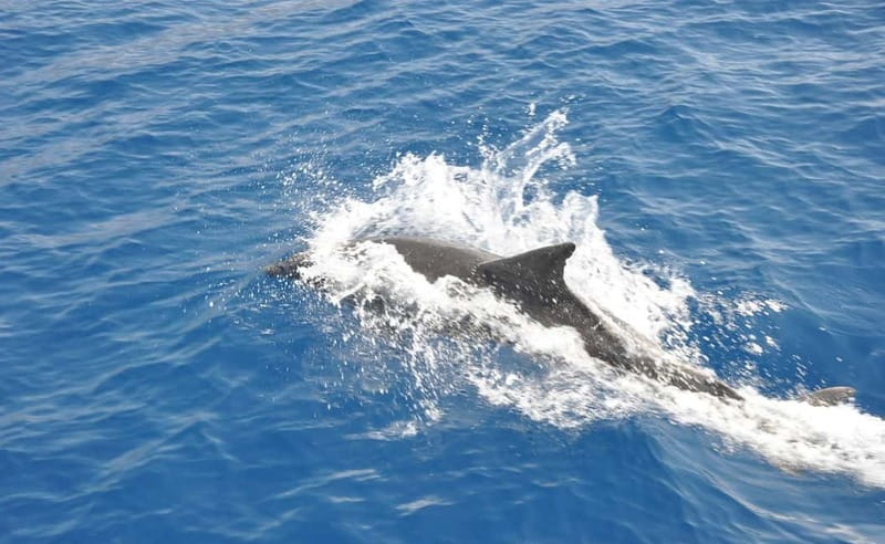 Antalya: Suluada Island Cruise with Dinner and Sunset - Dinner on Board: What’s on the Menu