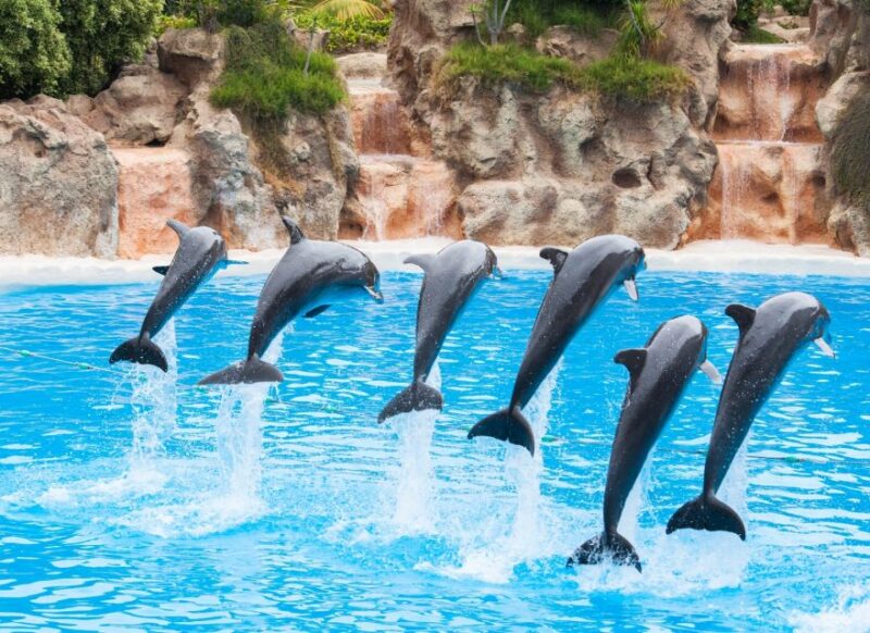 Antalya: The Land Of Legends Ticket Theme Park w/ Transfer - Thrilling Rides and Attractions for All Levels