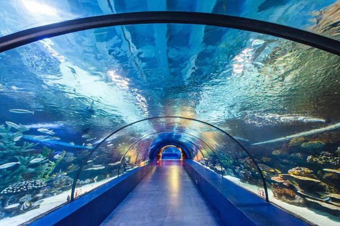 Antalya Tunnel Aquarium - Departure from Side - Scenic Stop at Lower Duden Waterfalls