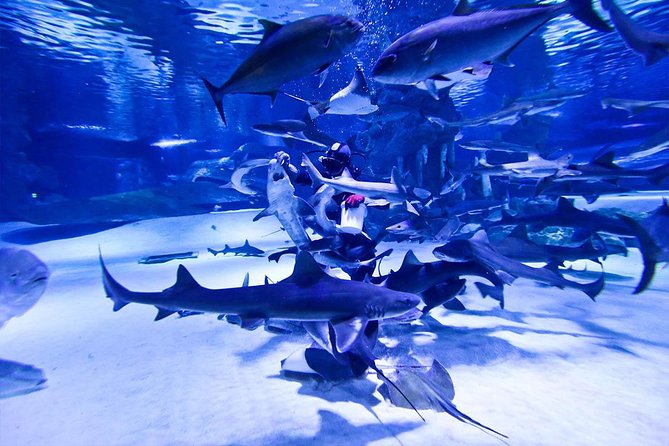 Antalya Tunnel Aquarium - Departure from Side - Flexibility and Cancellation Policy