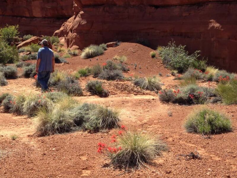 Antelope Canyon: Rams Head Canyon Tour - Weather and Timing Considerations for the Tour