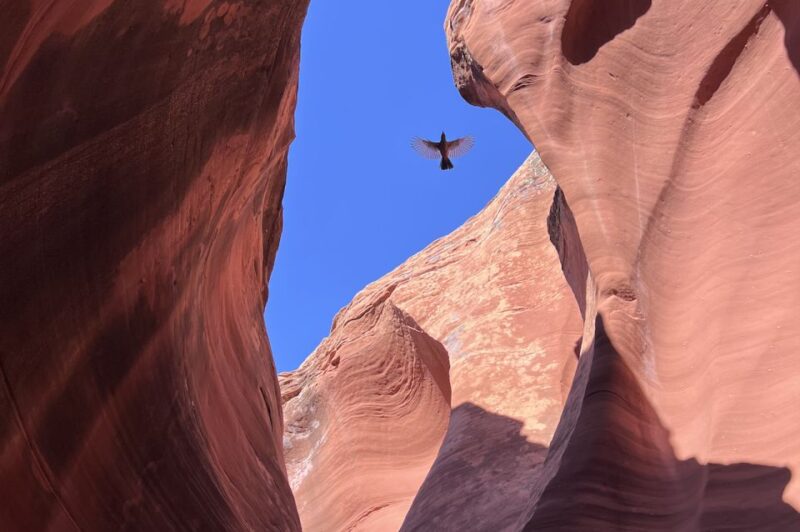 Antelope Canyon: Rattlesnake Canyon Tour - Meet Your Guide and Learn About Rattlesnake Canyon