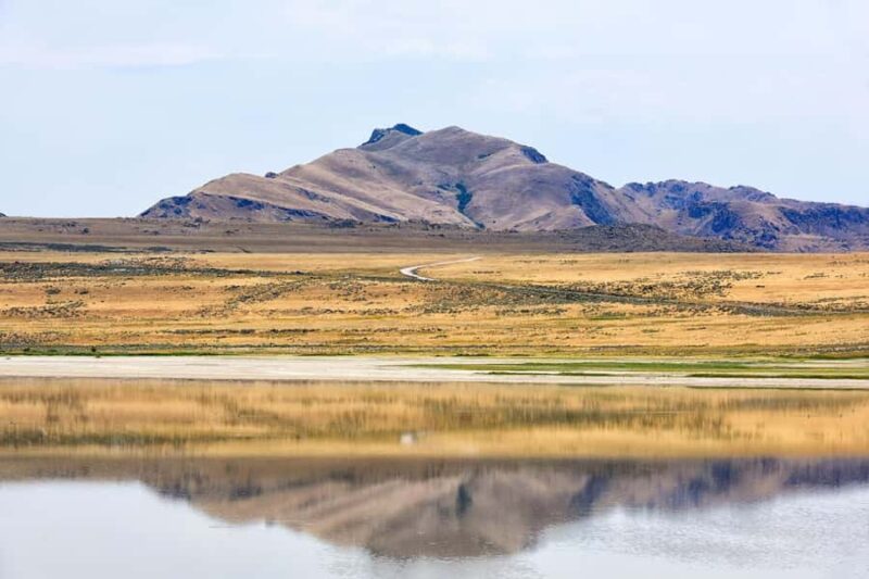 Antelope Island  Wildlife Expedition to the Great Salt Lake - Scenic Trails and the Hike to the Lake’s Summit