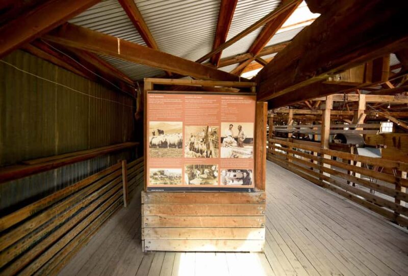 Antelope Island  Wildlife Expedition to the Great Salt Lake - Wildlife Viewing with Binoculars and Photography Tips