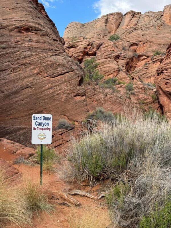Antelope Valley: Sand Dune Canyon Hiking Adventure - Practical Tips for Hikers and What to Bring