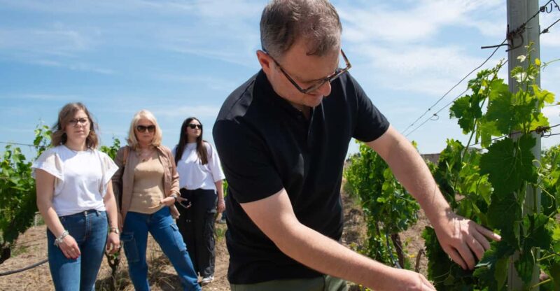 ANTICA ENOTRIA: CELLAR TASTING OF WINES AND PRESERVES - Who Will Find This Tour Most Appealing?