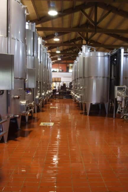 Antica Masseria Venditti: guided visit to the winery with wine tasting - Explore a Family-Run Organic Winery in Castelvenere