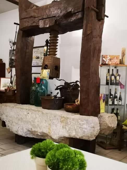 Antica Masseria Venditti: guided visit to the winery with wine tasting - Exploring the Laminated Wood Cellar