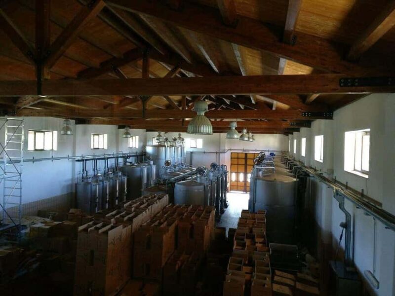 Antica Masseria Venditti: guided visit to the winery with wine tasting - Tasting Native Organic Wines