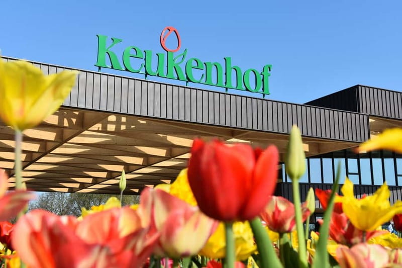 Antwerp: Full-day Holland Guided Keukenhof & Kinderdijk Tour - The Journey Begins at Central Antwerp Pick-up Locations