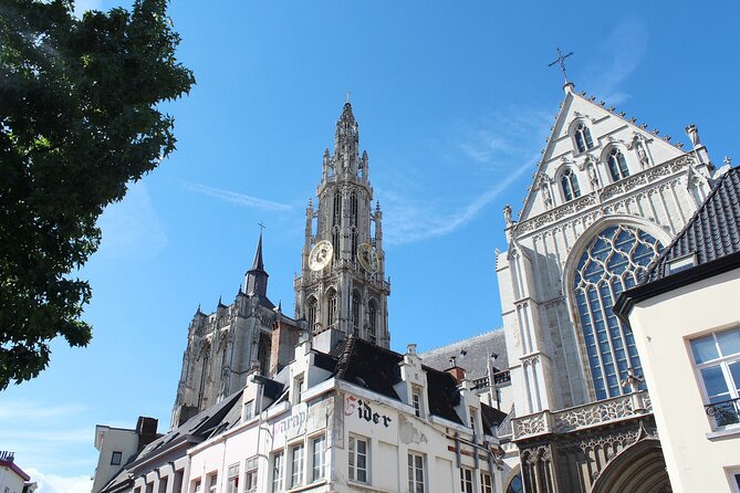 Antwerp Private Walking Tour With A Professional Guide - Key Points